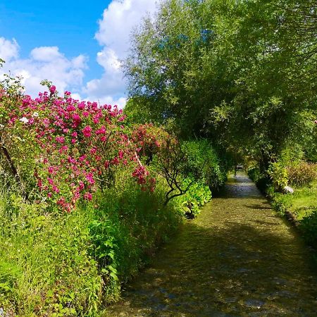Bed and Breakfast Aux Jolies Sources Saint-Aubin-sur-Scie Esterno foto